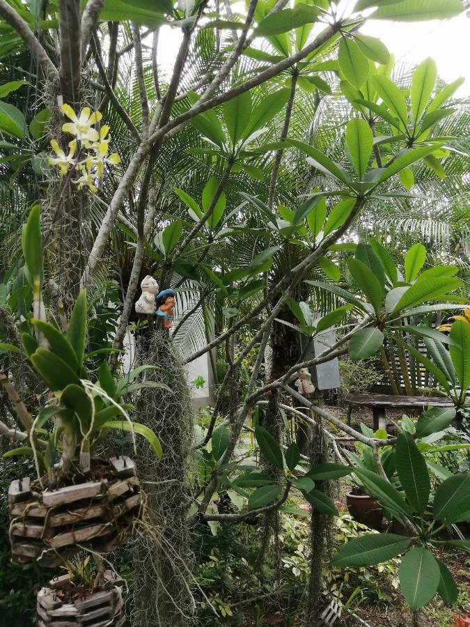 Naiyang Boutique Resort Ban Phak Chit Eksteriør bilde